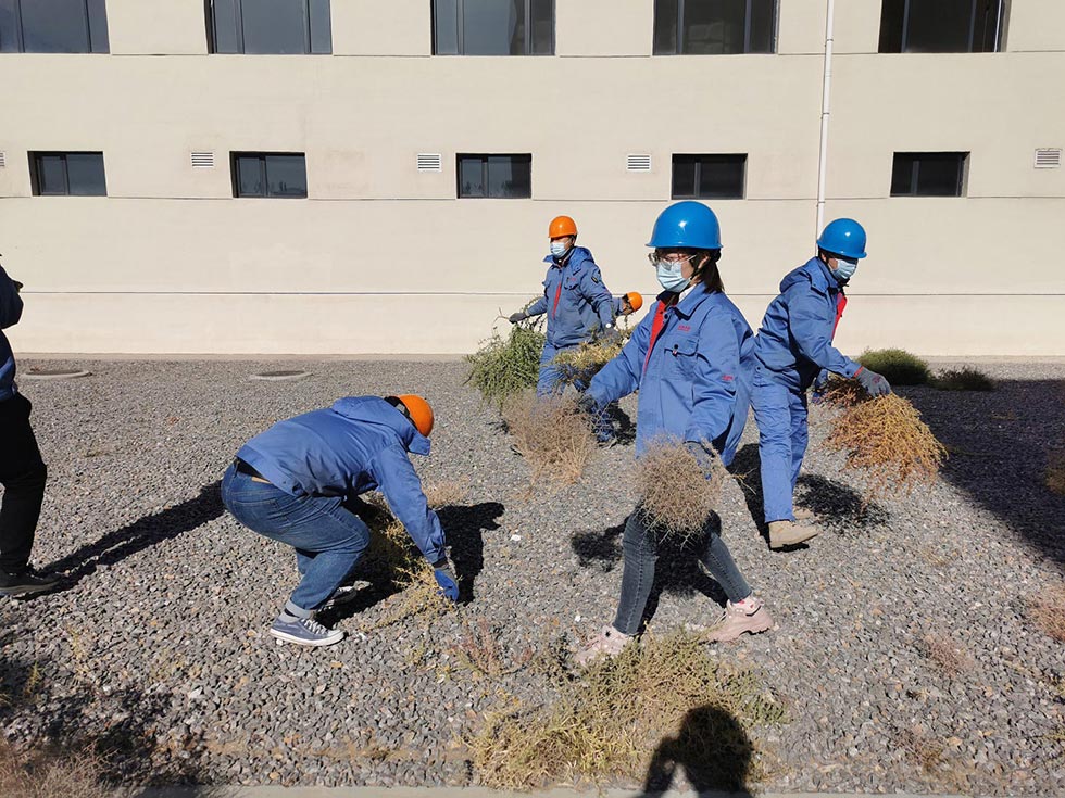 廠區清理枯草落葉
